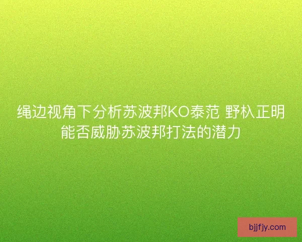 绳边视角下分析苏波邦KO泰范 野杁正明能否威胁苏波邦打法的潜力