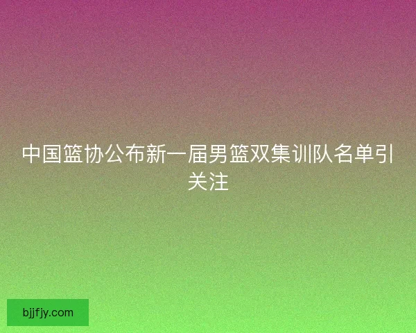 中国篮协公布新一届男篮双集训队名单引关注